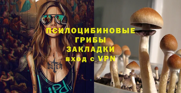дмт Нея
