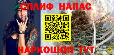 ПСИЛОЦИБИНОВЫЕ ГРИБЫ Апшеронск