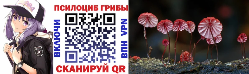 маркетплейс клад  Тосно  Галлюциногенные грибы ЛСД  ОМГ ОМГ рабочий сайт 