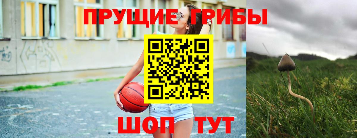 Галлюциногенные грибы ЛСД  Тосно 