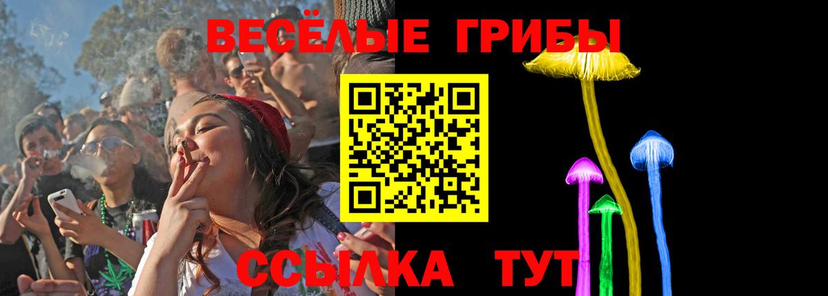 Псилоцибиновые грибы ЛСД  Вход с VPN  Галлюциногенные грибы Psilocybe  Тосно 