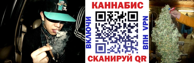Бошки Шишки THC 21%  купить наркотики сайты  Тосно 